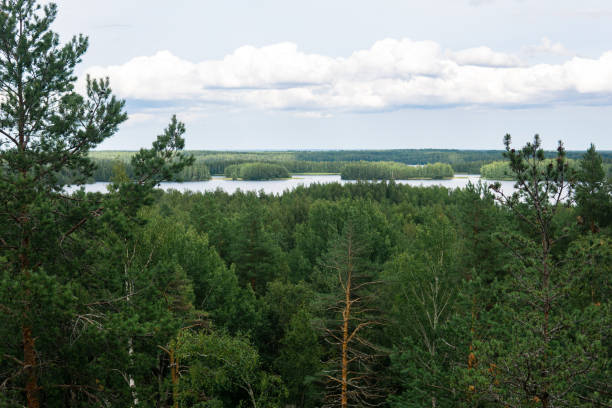 istock natural landscape with forest and lakes, aerial view 1659845612