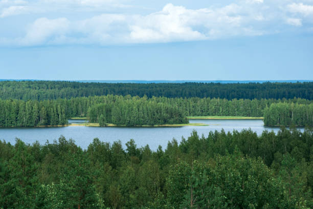 istock natural landscape with forest and lakes, aerial view 1659855249
