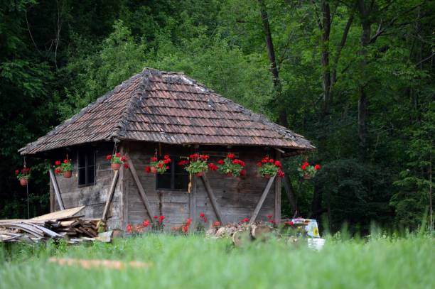 istock a small wooden house in flowers 1659869205