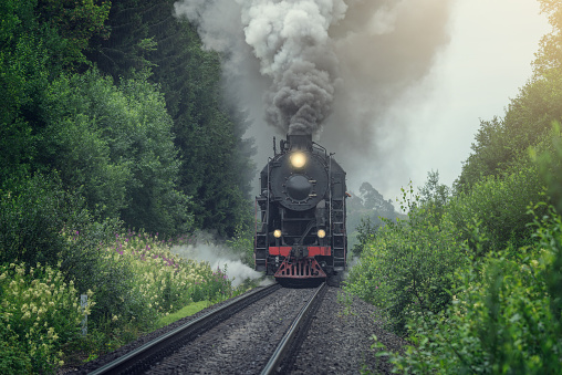 Retro steam train moves along the forest.