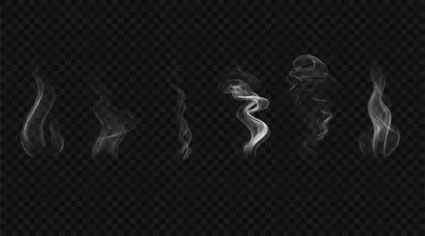 Vector illustration of Set of white smoke waves. Vector design elements.