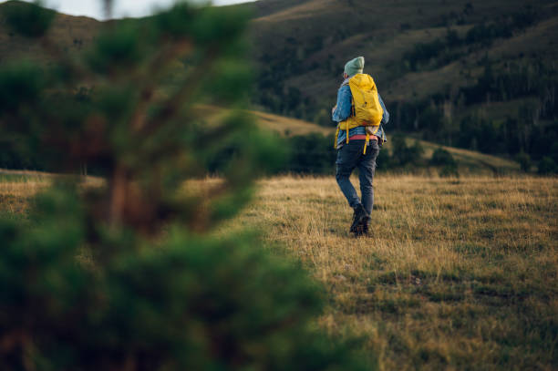istock Rear view of a stylish man hiking on a mountain path with tall grass 1659921459