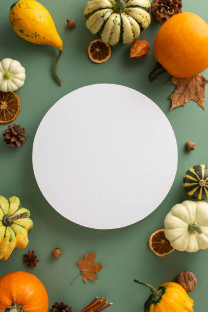 istock Envision the autumn harvest concept with this elevated vertical view. Assorted ripe pumpkins and classic fall items displayed on a green isolated background, empty circle text or promotional needs 1659935462