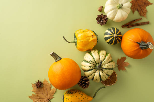 istock Top view presenting Thanksgiving concept: rich crop, pattypans, pepper, acorn, cinnamon, maple leaves, pine cones, anise, dried orange slice on muted green background, empty space for text insertion 1659935478
