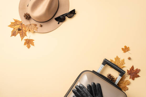 istock Fall journey abroad inspiration setting. Gray suitcase, maple leaves, felt hat, black sunglasses and gloves arranged on beige isolated background, providing space for promotional content or text 1659936026