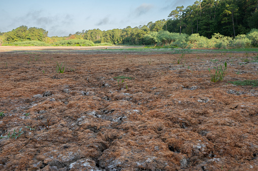 The Bear Branch Reservoir in the Woodlands has evaporated in the drought of summer 2023.