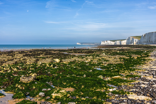 The Seven Sisters are a series of chalk sea cliffs on the English Channel coast, and are a stretch of the sea-eroded section of the South Downs range of hills, in the county of East Sussex, in south-east England