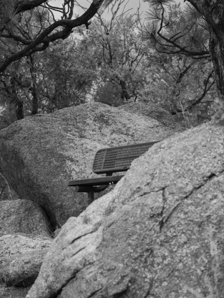 black and white photo of trailside bench