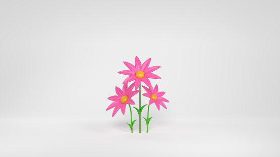 Cartoon pink daisy flower bouquet on white background. 3D rendered chamomile