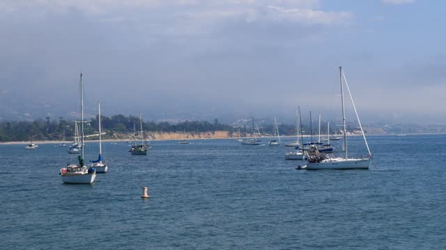 Sailboats near Stearns Wharf in Santa Barbara