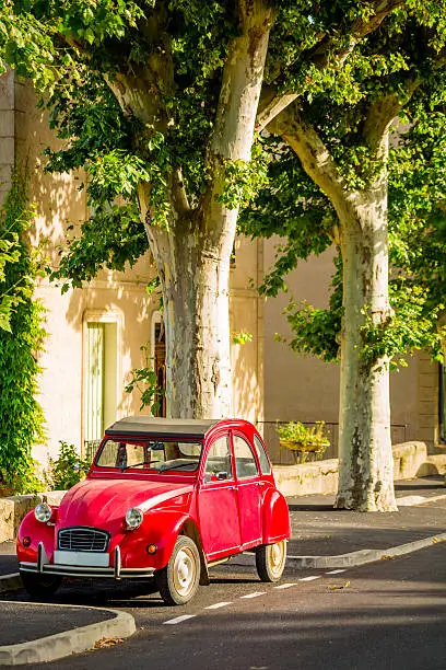 Photo of French classic car parked under plane trees