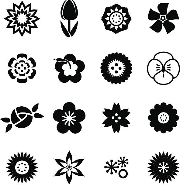 ilustraciones, imágenes clip art, dibujos animados e iconos de stock de conjunto de iconos de flores - tulip sunflower single flower flower