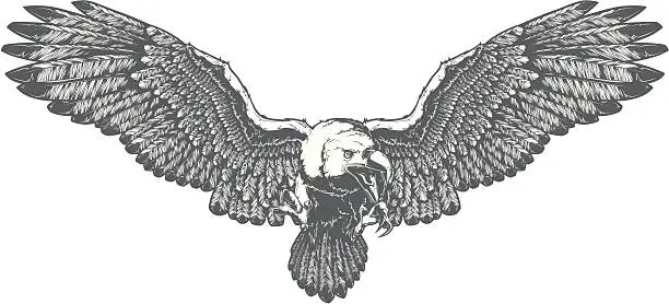 Vector illustration of eagle attack