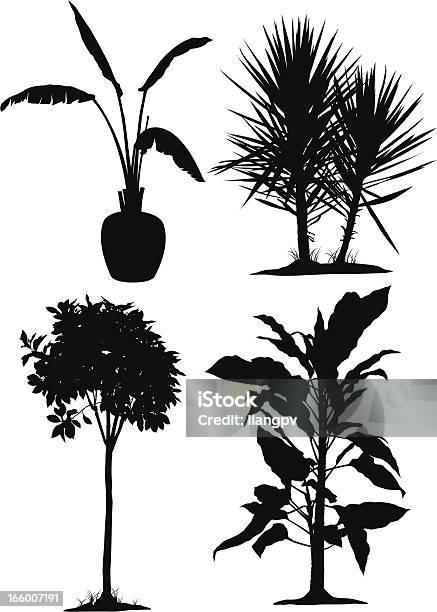 Les Plantes Vecteurs libres de droits et plus d'images vectorielles de Arbre - Arbre, Branche - Partie d'une plante, Cocotier
