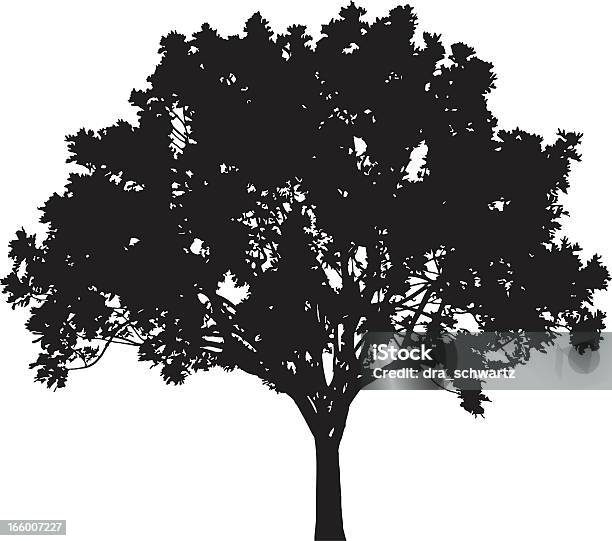 Drzewo Sylwetka Wektor - Stockowe grafiki wektorowe i więcej obrazów Drzewo - Drzewo, Sylwetka, Dąb - drzewo