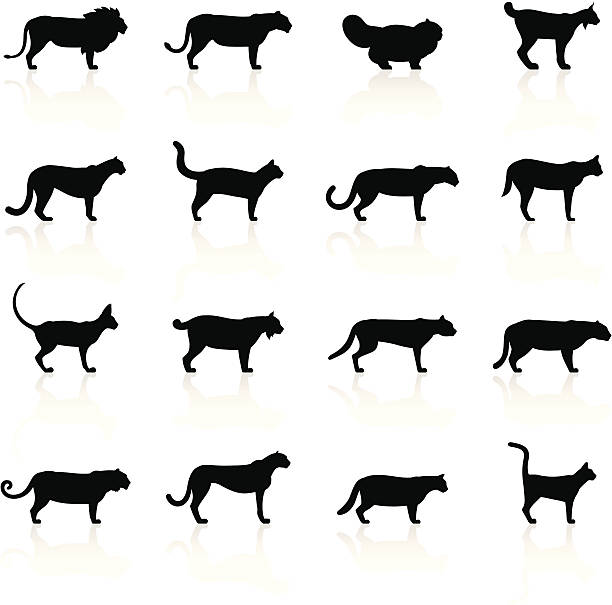 schwarze symbole-katzen - puma raubkatze stock-grafiken, -clipart, -cartoons und -symbole