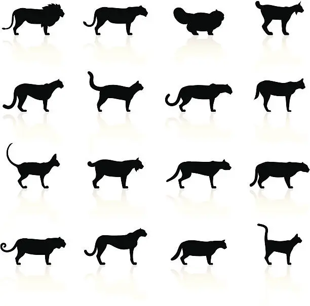 Vector illustration of Black Symbols - Felines