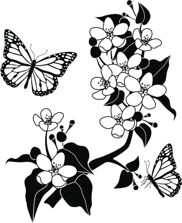 A vector illustration of apple blossoms and monarch butterflies.