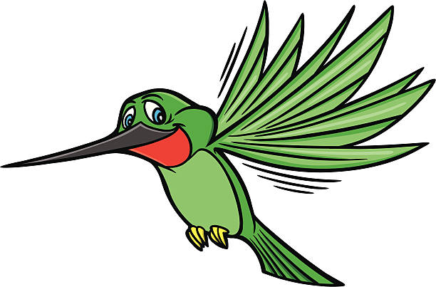 Hummingbird Stock Illustration - Download Image Now - Hummingbird, Cartoon,  Vector - iStock