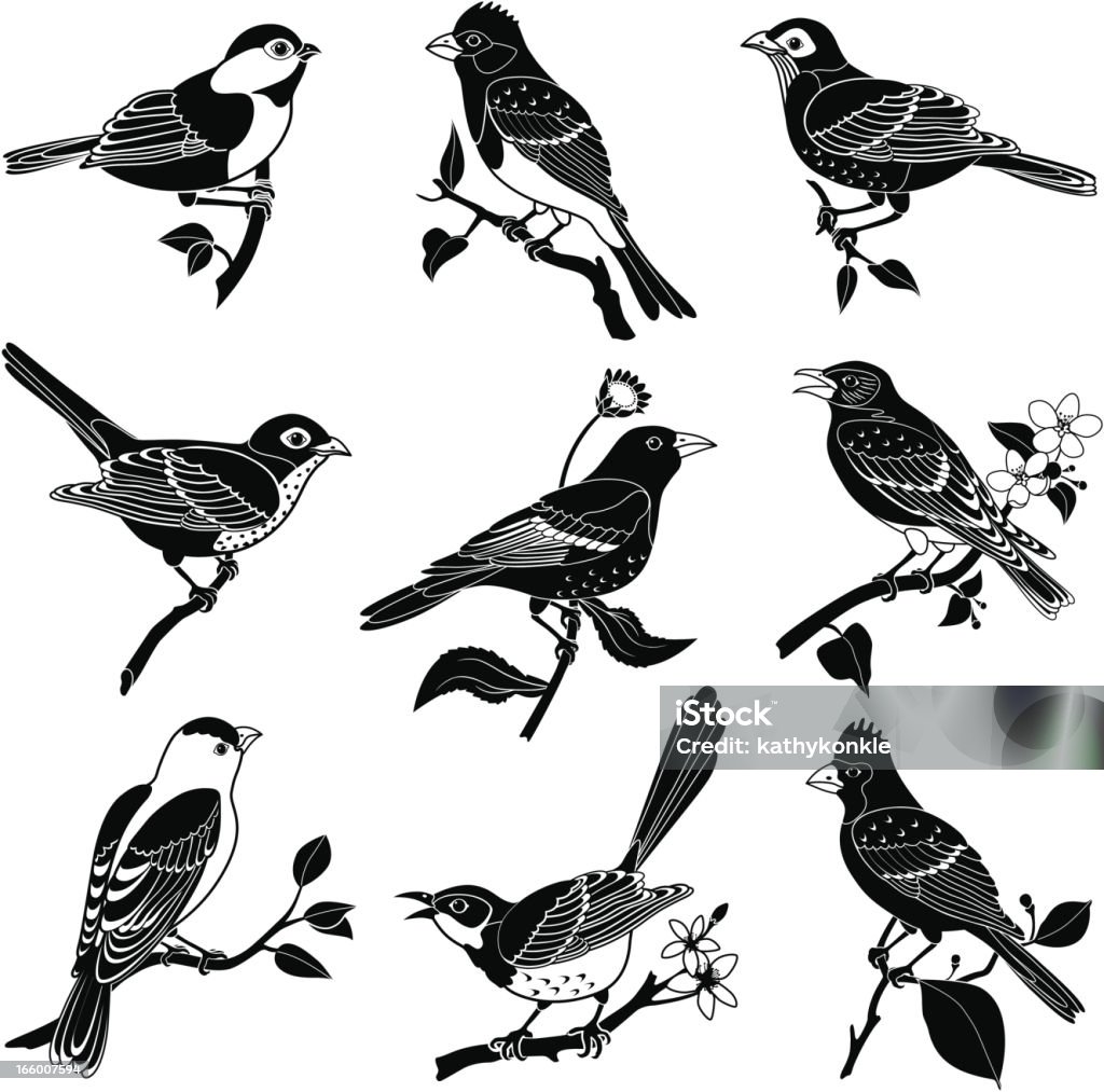 North American birds Vector illustrations of various North American birds featuring a chickadee, purple finch, robin, hermit thrush, Baltimore oriole, bluebird, goldfinch, mockingbird, cardinal Bird stock vector