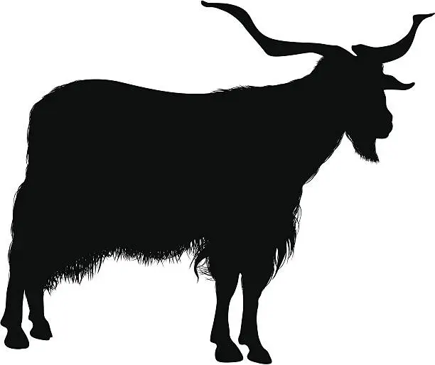 Vector illustration of goat