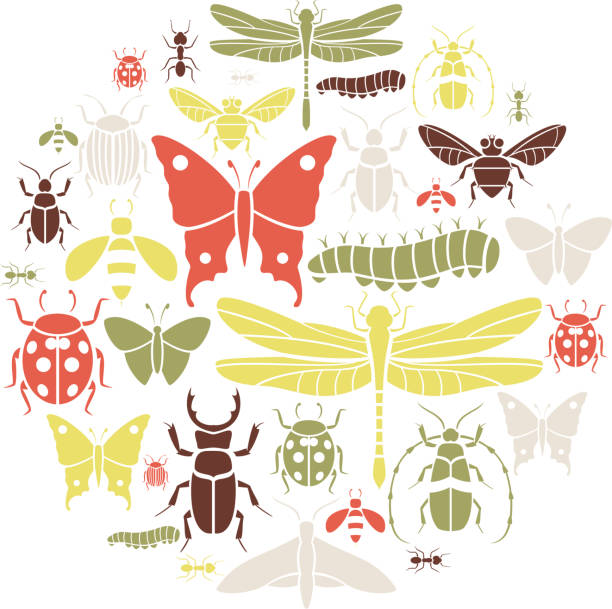 Insect Icon Set A set of insects. Click below for more animal images animal antenna stock illustrations