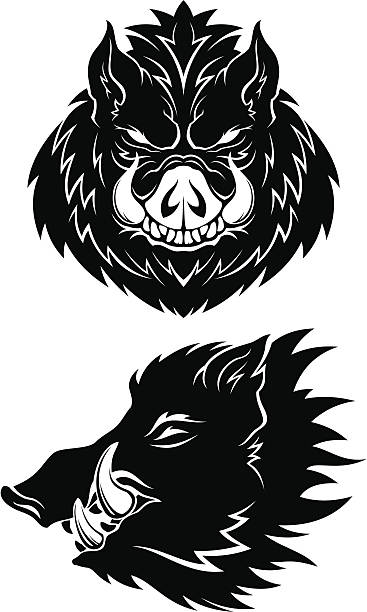 Boar heads Two stylized boar heads (monochrome). Easy to change colours. Ready for cutting plotter. warthog stock illustrations