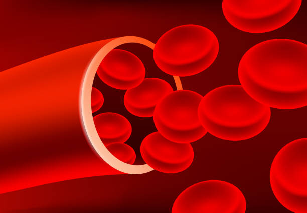 적혈구 유혈 스트림 혈관 - blood cell anemia cell structure red blood cell stock illustrations