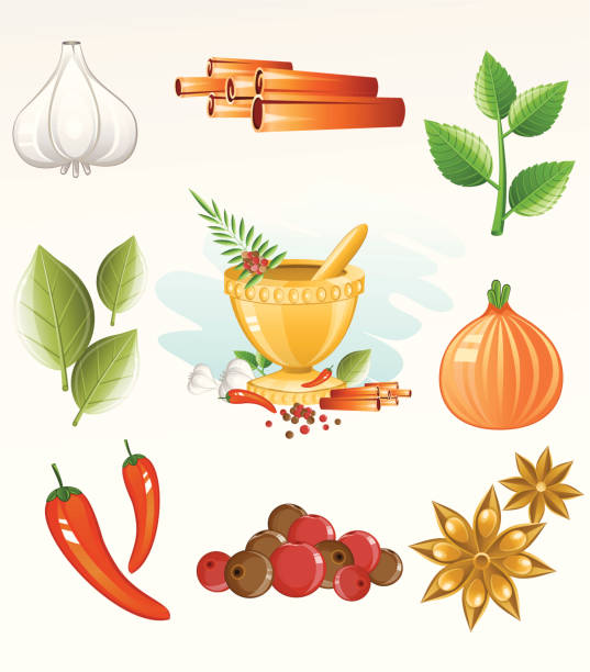 Spice icono de - ilustración de arte vectorial