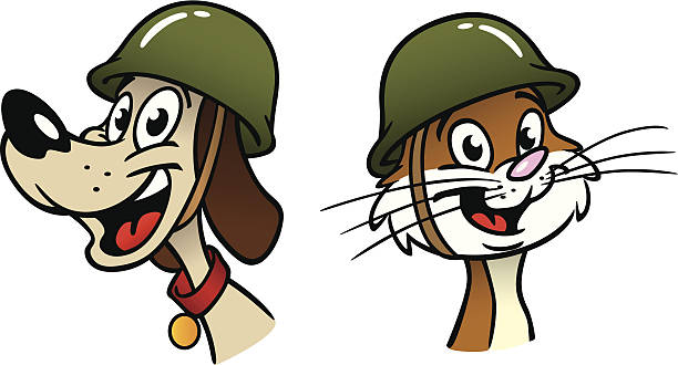 ilustraciones, imágenes clip art, dibujos animados e iconos de stock de guerra perro y gato soldados - casco militar