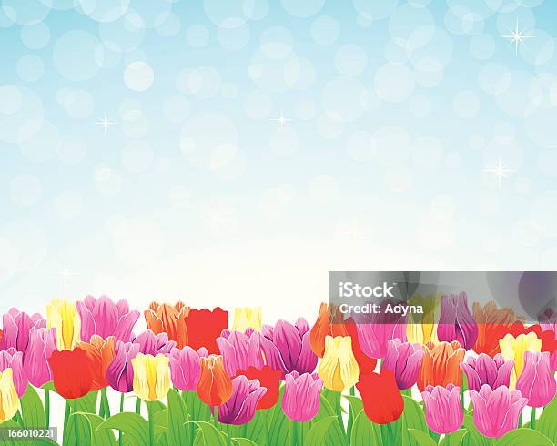 Tulipano Colorato - Immagini vettoriali stock e altre immagini di Aiuola - Aiuola, Arancione, Blu