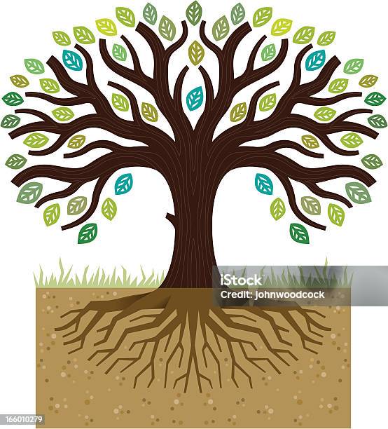 Simple Tree Roots Illustration Stock Illustration - Download Image Now - Tree, Root, Branch - Plant Part