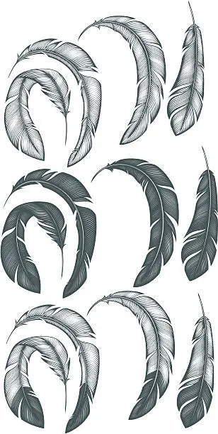 Vector illustration of Feathers