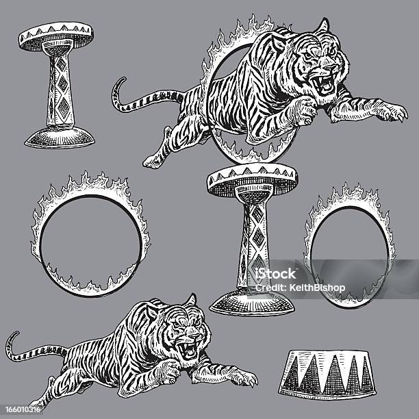 Ilustración de Circus Tiger Y Llamas Anillo De Fuego y más Vectores Libres de Derechos de Circo - Circo, Aro de fuego, Pedestal