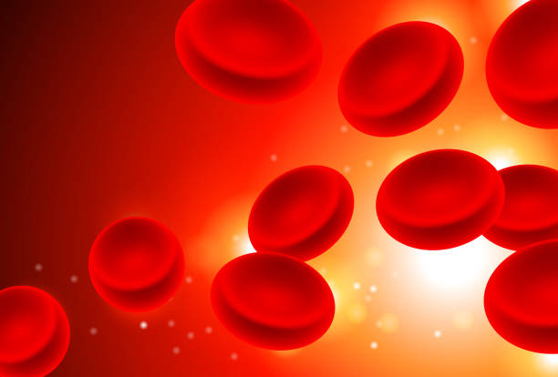 겸상 cell 적혈구 유혈 스트림 - blood cell anemia cell structure red blood cell stock illustrations