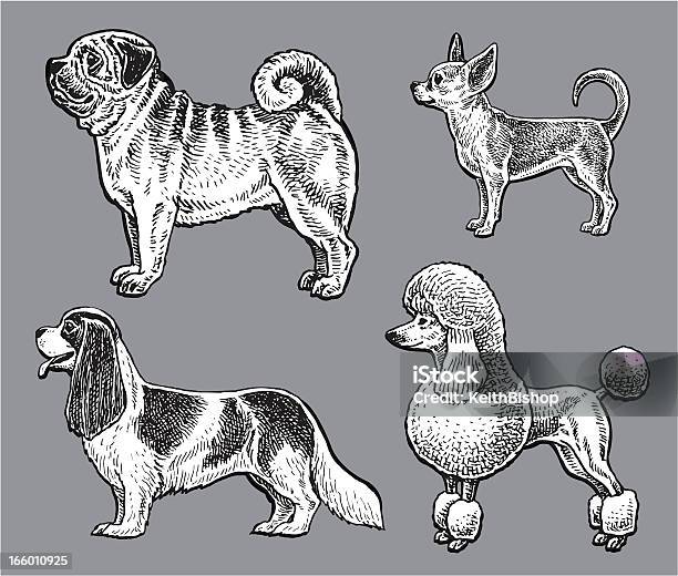 Psyminiaturowy Zabawka Pudel Mops Chihuahua King Charles Spaniel - Stockowe grafiki wektorowe i więcej obrazów Pudel
