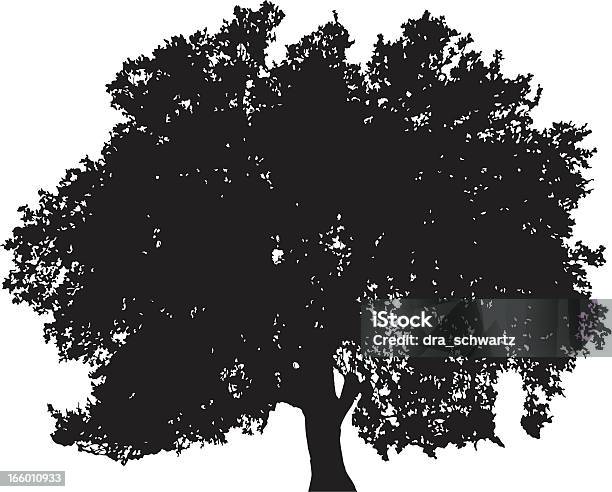 Дуб Силуэт Вектор — стоковая векторная графика и другие изображения на тему Дерево - Дерево, Дуб, Вишня - дерево