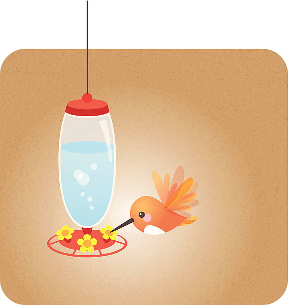 Cute kawaii Hummingbird feeder vector art illustration