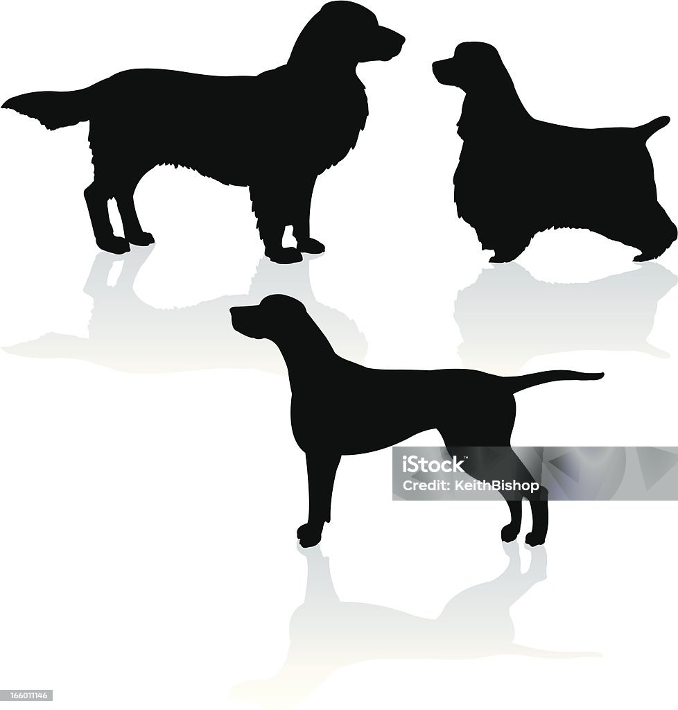 Sport Hunde-Pointer, Golden Retriever, Cocker Spaniel - Lizenzfrei Golden Retriever Vektorgrafik