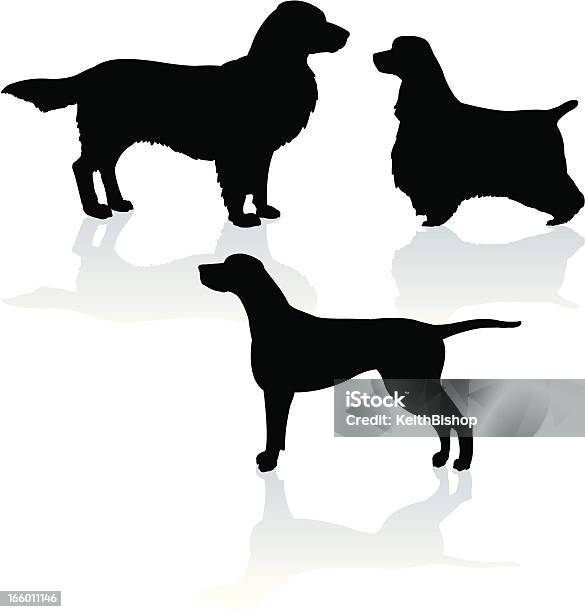 Sport Hundepointer Golden Retriever Cocker Spaniel Stock Vektor Art und mehr Bilder von Golden Retriever