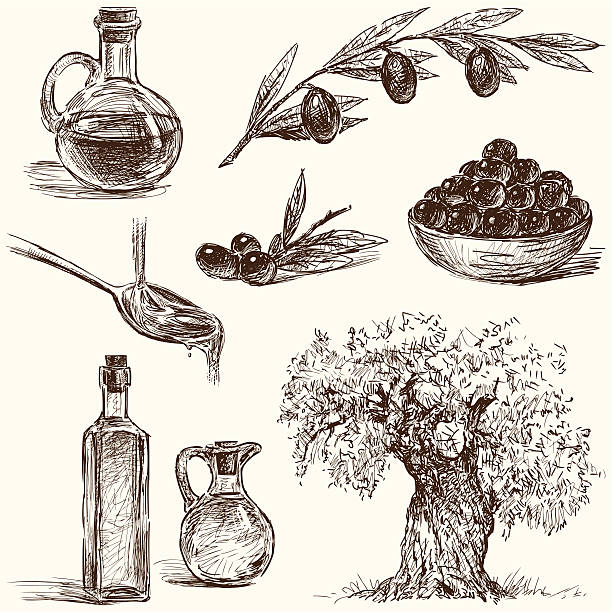 olives - olive olive tree olive branch food stock-grafiken, -clipart, -cartoons und -symbole
