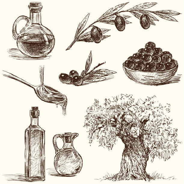 oliwki - olive oil bottle olive cooking oil stock illustrations