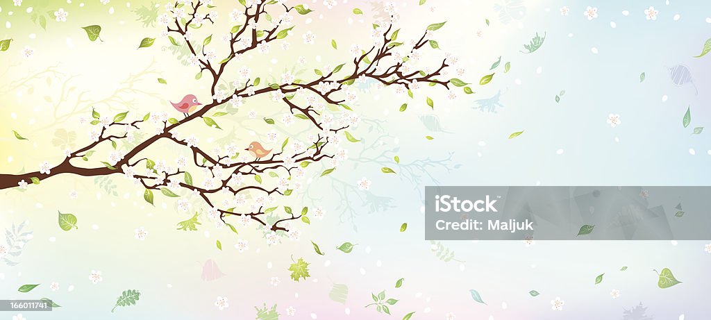 Tree Canvas Background Spring Spring Tree Stock Illustration - Download Image Now - Cherry Tree ...