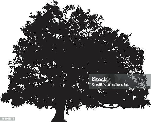 오크 나무 실루엣 벡터 벚나무에 대한 스톡 벡터 아트 및 기타 이미지 - 벚나무, 실루엣, 나무