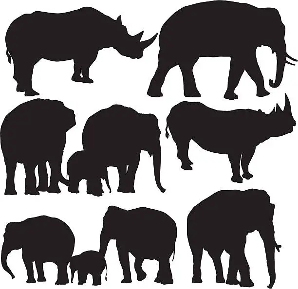 Vector illustration of Elephant and the Rhinoceros silhouettes