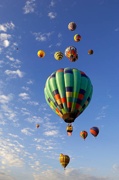 Several hot air balloons take flight in the early morning against a beautiful blue sky.