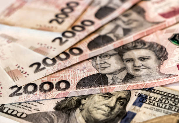 Argentine pesos and US dollars banknotes.