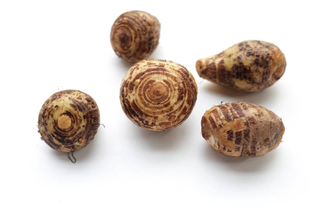 istock Satoimo, taro roots or japanese sweet taro 1660163701