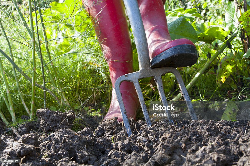 Creuser un légume le jardin Envahi par la végétation - Photo de Creuser libre de droits