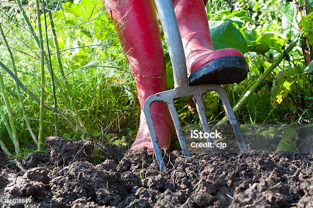 Scavare Una Selva Orto - Fotografie stock e altre immagini di Scavare - Scavare, Letame, Giardino domestico